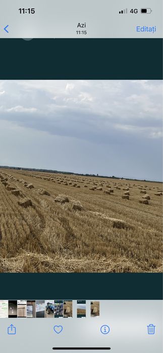 Vând baloti de paie (asigur transport contra cost motorin)