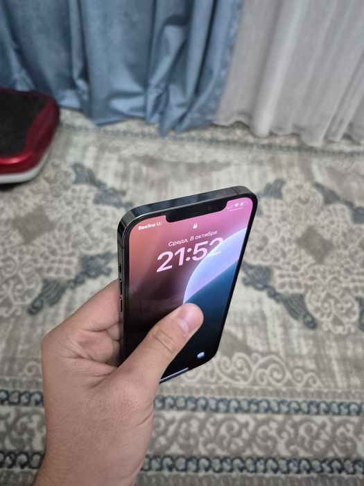 iPhone 12pro max