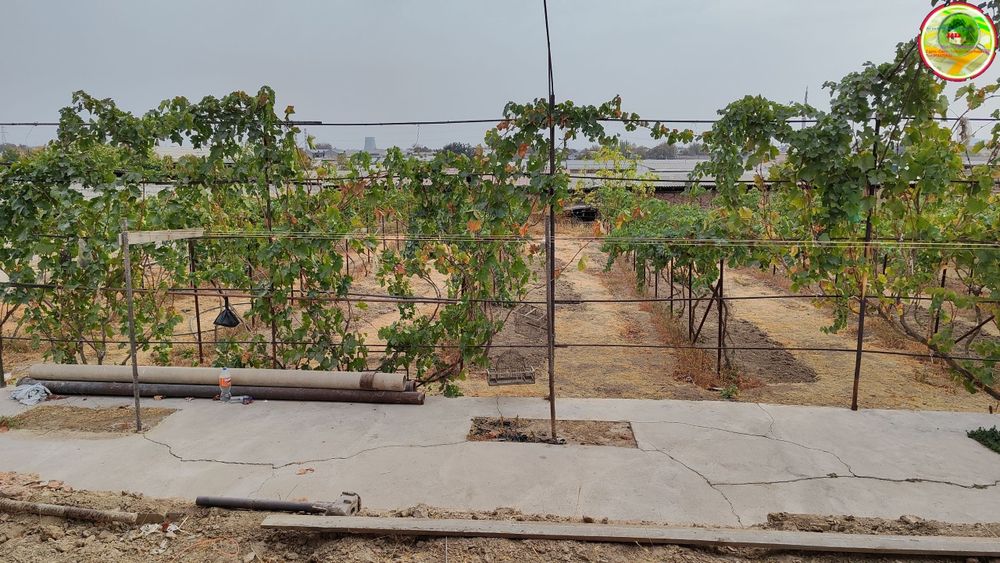 Продаётся Дом Участок Ункурган  4 ком 5 соток