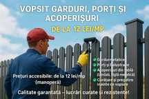 Vopsit Garduri, Porți și Acoperișuri , pereti exteriori , orice supraf