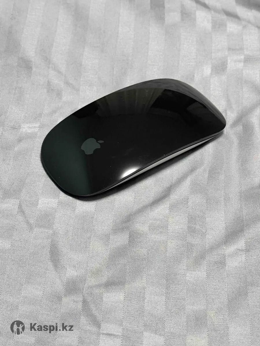 Apple Magic Mouse 2 in Black