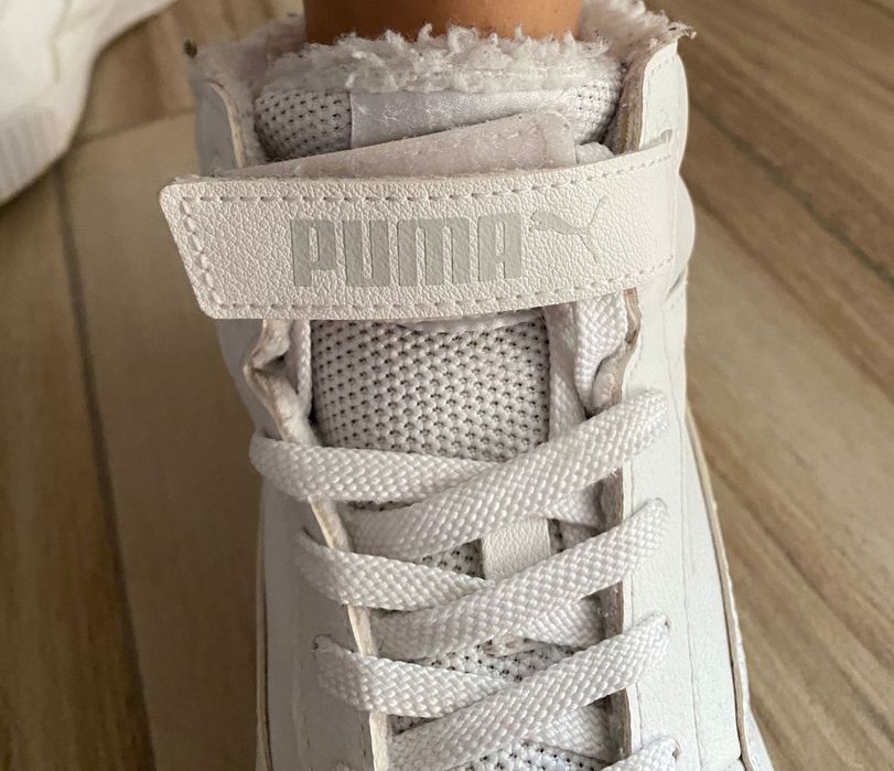 Bascheti  Puma îmblaniţi (transport inclus )