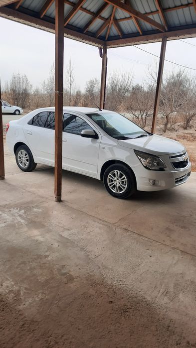 Кобилт 2024 шот  500 км йурган