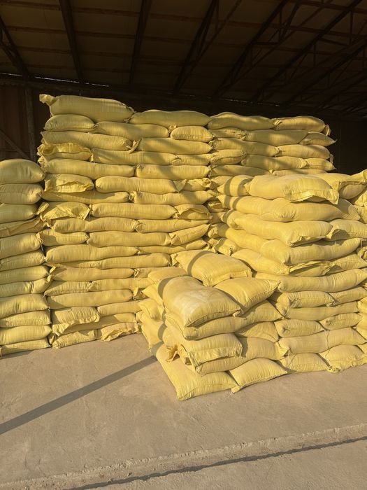 Kepak qozoq toshkent