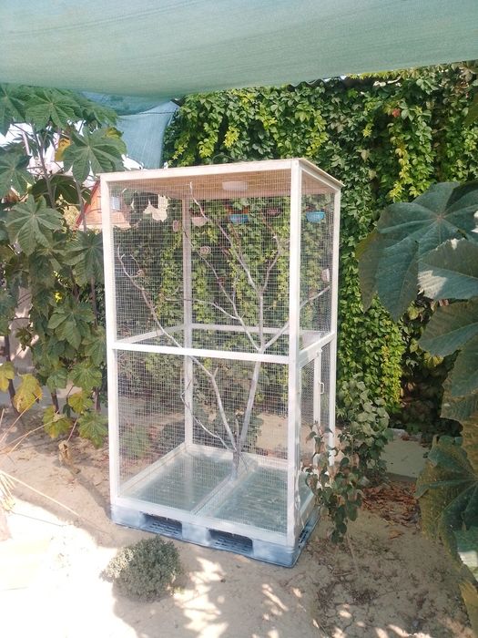 Кафас сотилади супер скидка