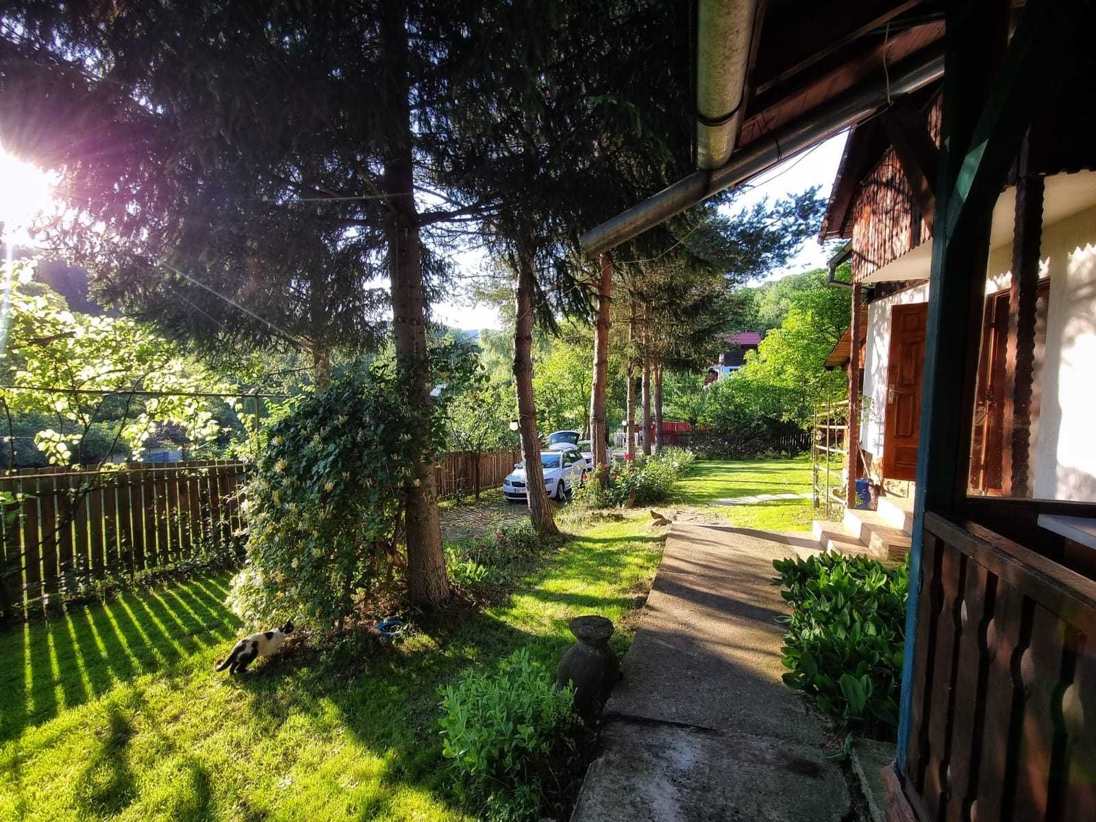 Casă de vacanță lângă Bacău - echilibrul perfect între oraș și natura