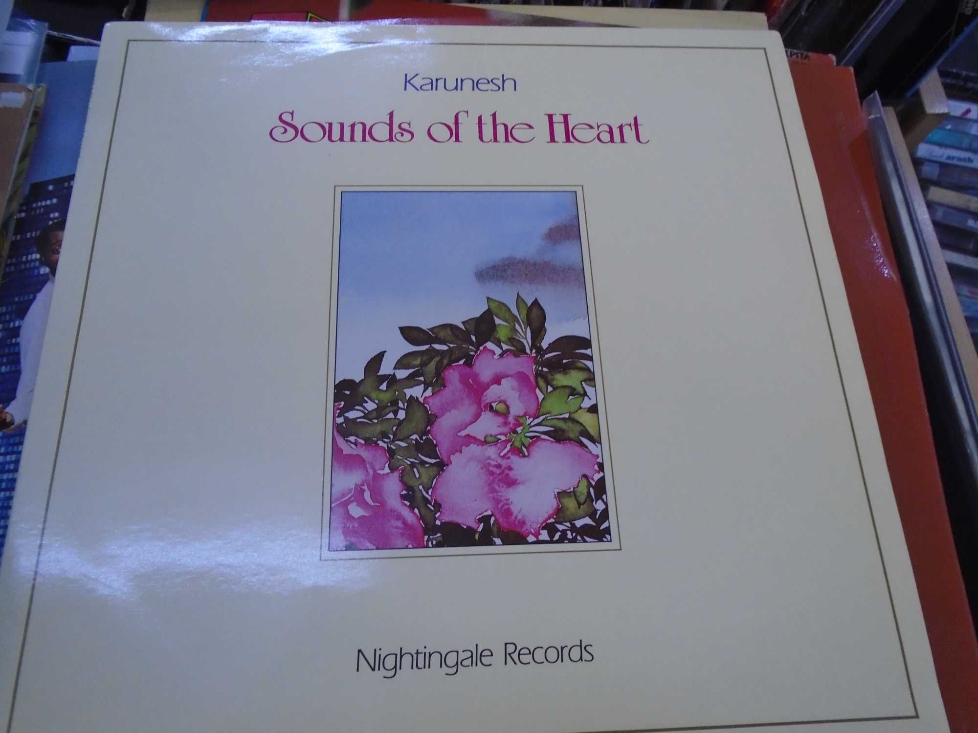 винил   пластинка Karunesh – Sounds Of The Heart