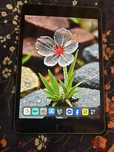 Ipad mini 4 impecabil
