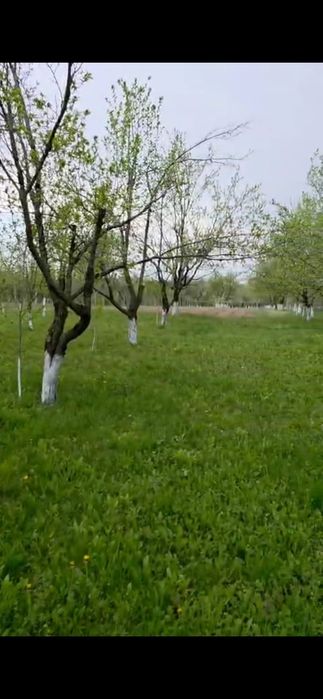 Vând teren intravilan 1700mp