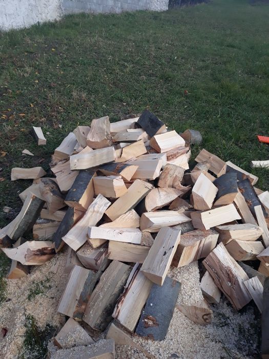 Vand lemne de foc buștean fag