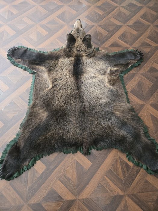 Vand trofeu urs brun blana naturala !