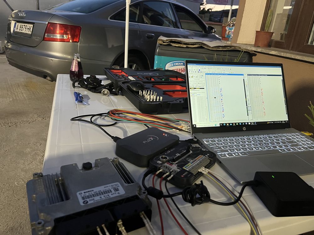 Chip tuning DPf EGR Flap dtc off
