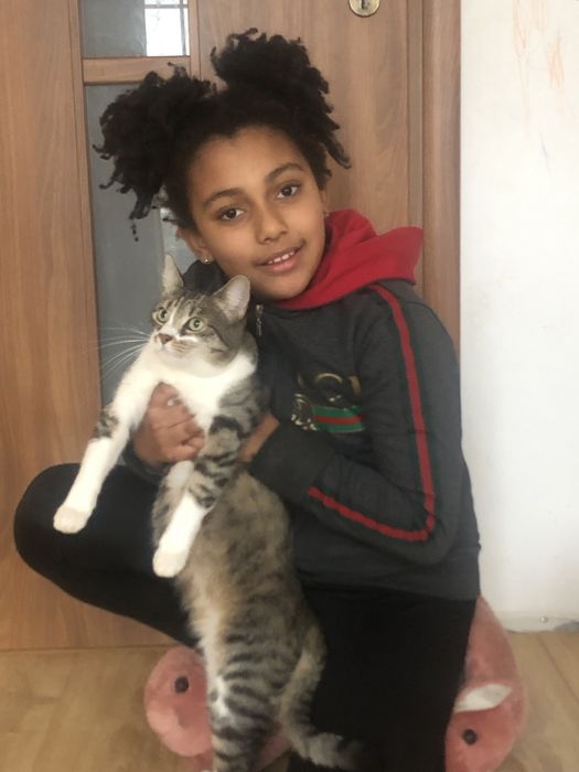 Cazare pisici adorabile