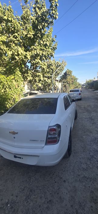 Kobalt Cobalt 2025 oq midnight