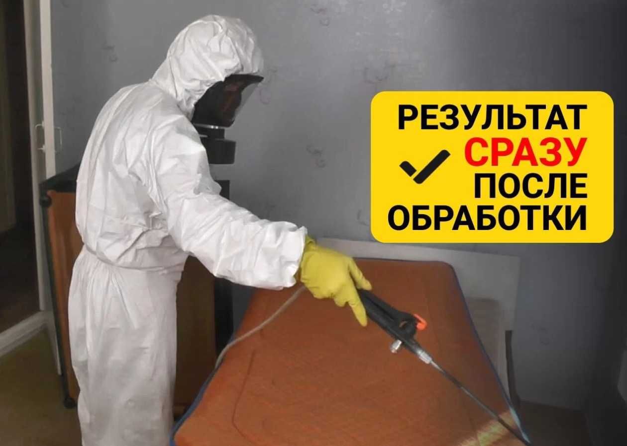 Dezinfeksiya Дезинфекция таракан клоп блох бурга сичкон каламуш илон