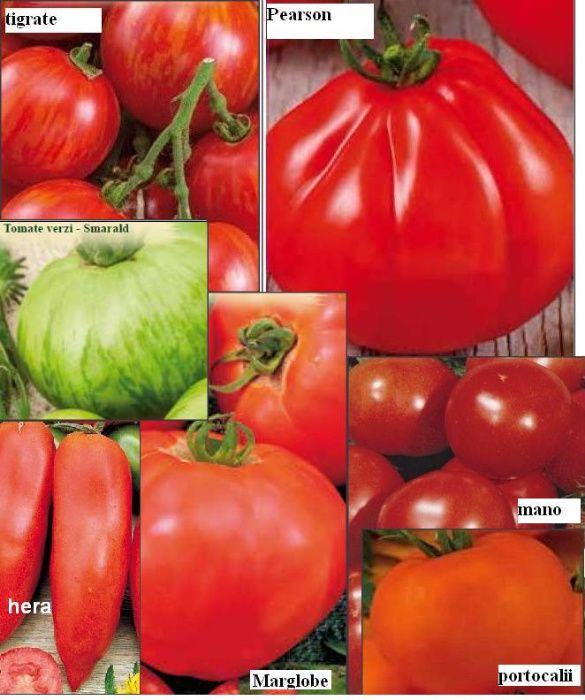30Seminte tomate tigrate, Pearson, Marglobe, Hera, Mano, verzi, negre