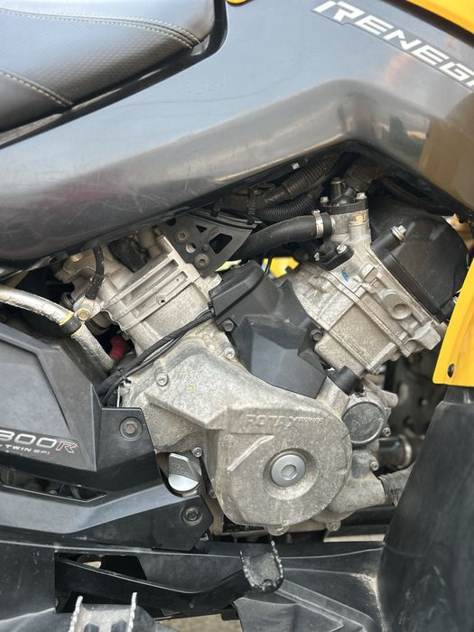 Can am renegade