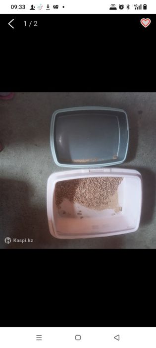 Все для кошек и котят