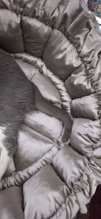 Лежанка для котов . Большое размер