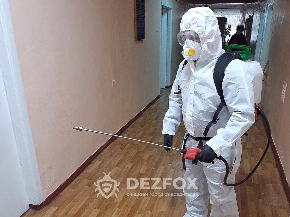 Дезинфексия Уничтожение Клопов От Тараканов Крыс Мышей В Доме Кафе