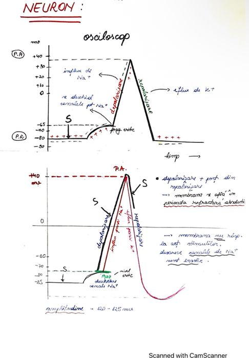 Meditații Biologie(corint) pentru admiterea la medicină