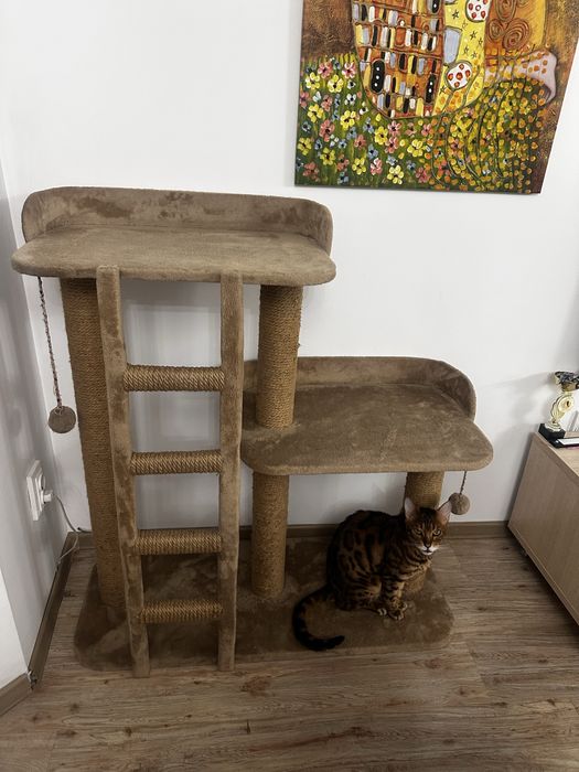 Продам кошачий уголок домик лежанка