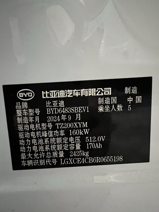Эгасидан Byd Champion Рестайлинг EV 605км 27500$