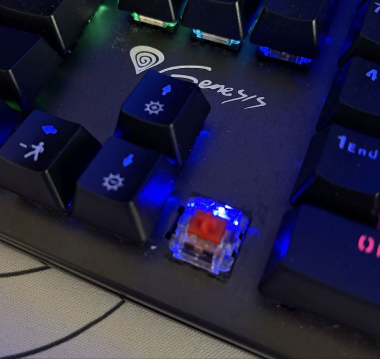 Клавиатура Genesis Thor 300 RGB