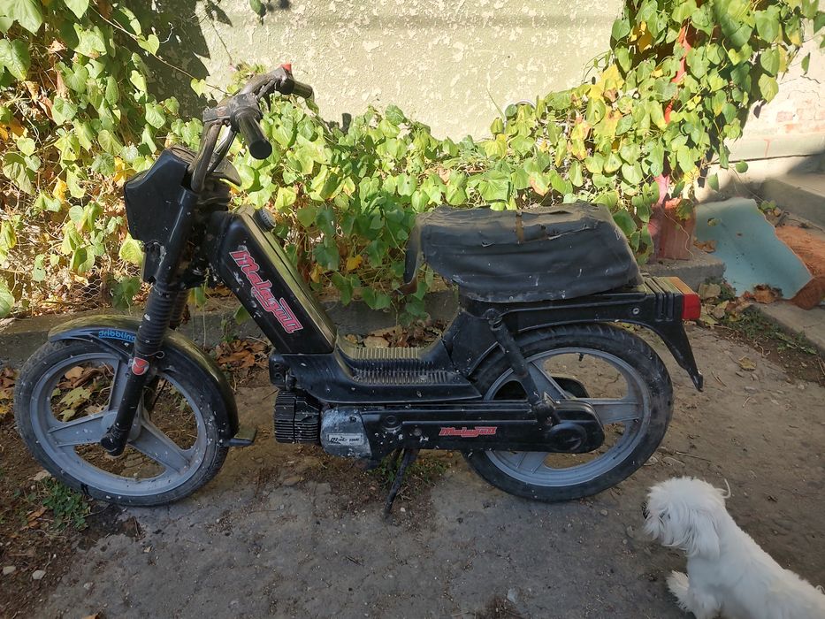 Vans moped malaguti