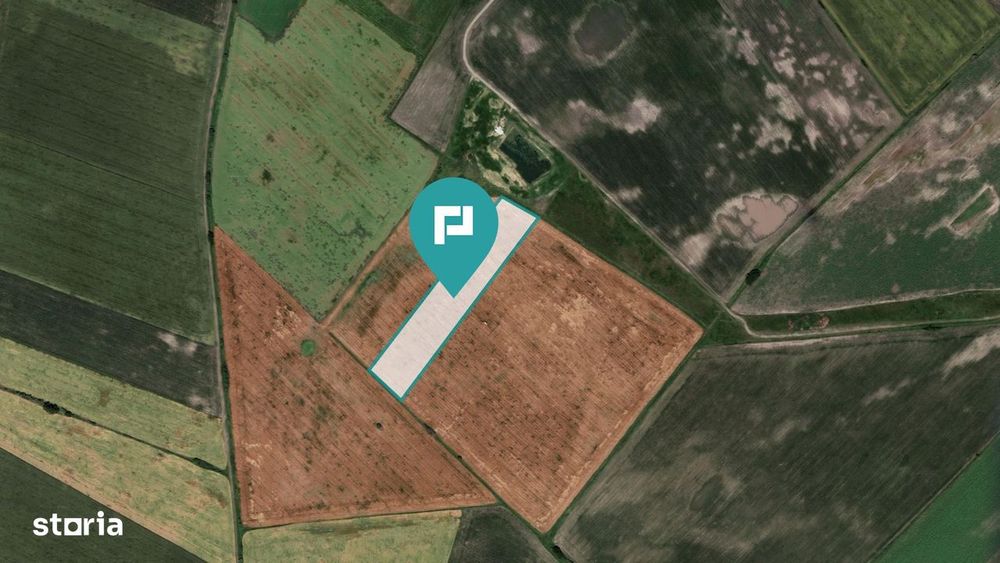 Teren extravilan de 28900 mp în Variașul Mare
