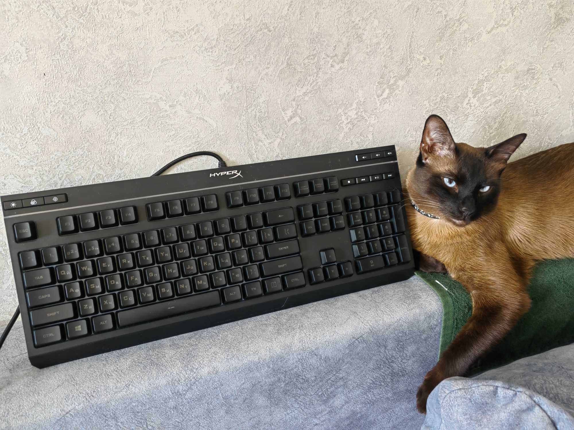 Клавиатура HyperX