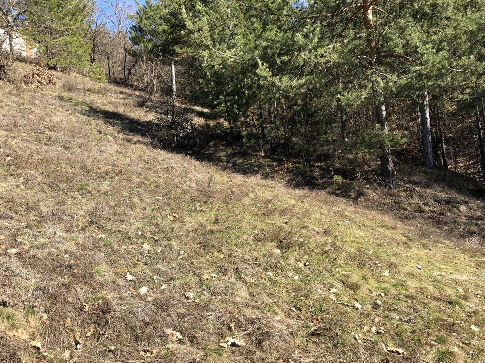 Парцел в село Луково, община Своге