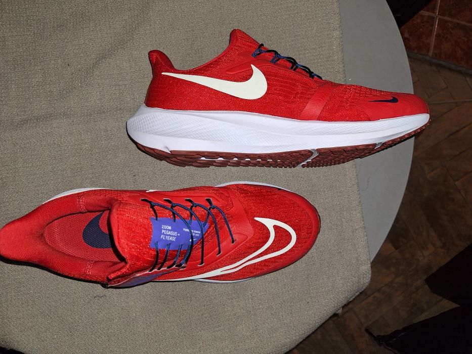 Model Nike  zoom pegasus flyease shoes