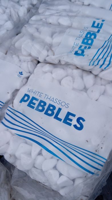 Leilandi chiparosi spirale magnolia