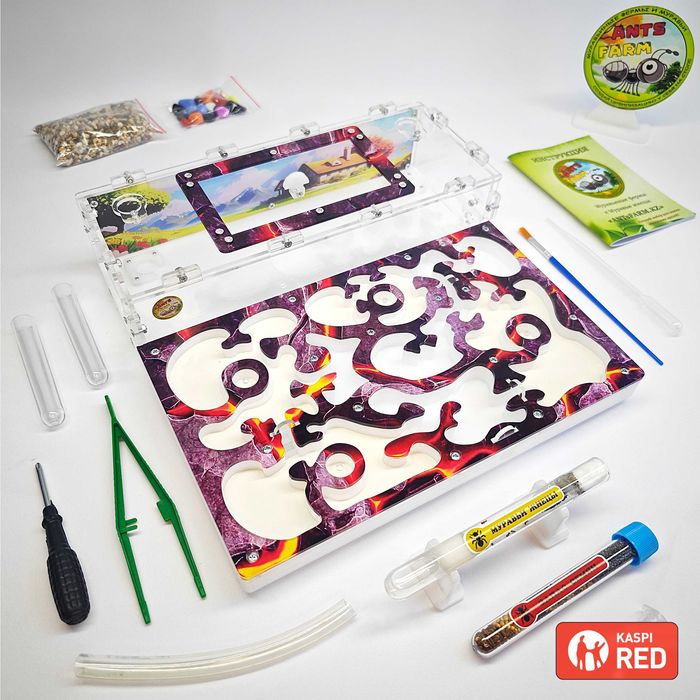 ГИПСО-Акриловый Формикарий "ACE" ||| Муравьиная ферма - Муравьи жнецы