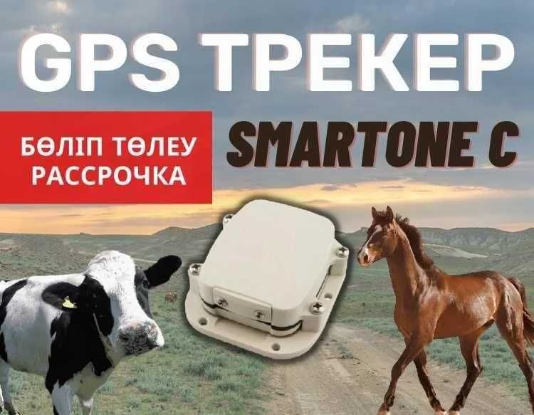 Спутниковый трекер для лошадей