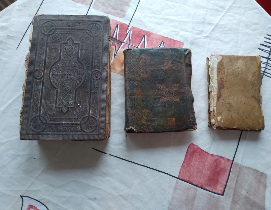 Biblie an Limba Maghiara