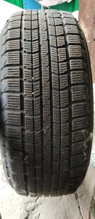 Қыстық дөңгелектер