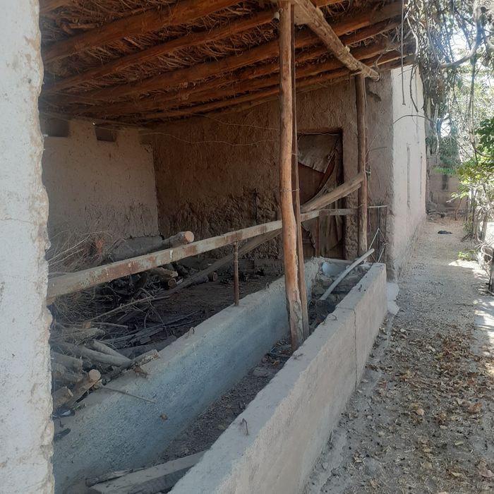 Sariosiyo t bo'yrapo'sht m 250 uy barcha sharoitlarga ega  honadon
