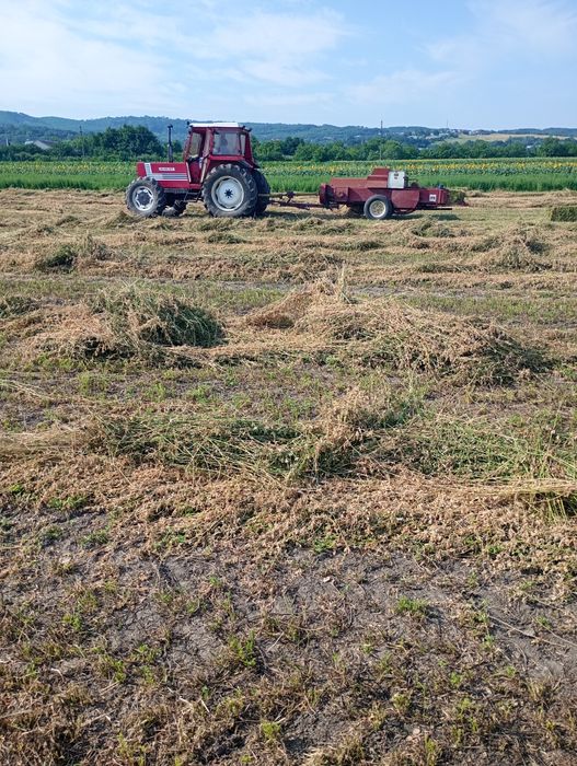 Vând baloți de lucernă dreptunghiulari