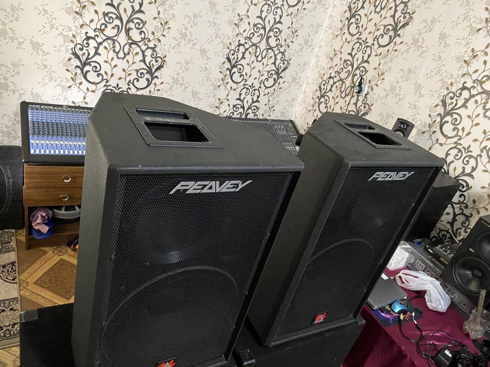 Peavey DTH SM Калонки