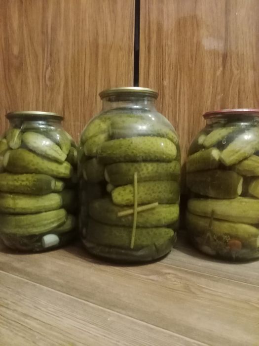Продам солёные огурцы!