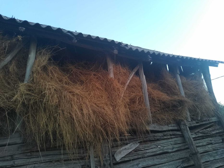 Vând fan pentru animale