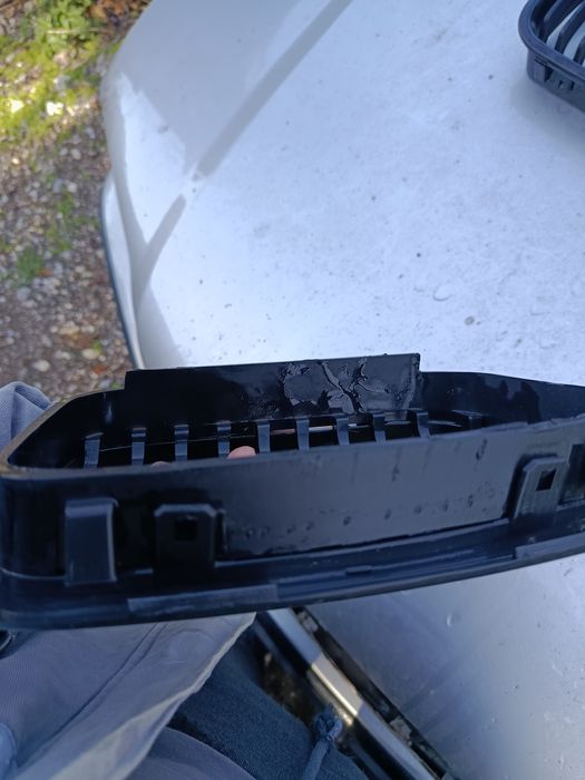 Бъбреци за бмв е46