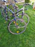 Biciclete funcționale Adulți