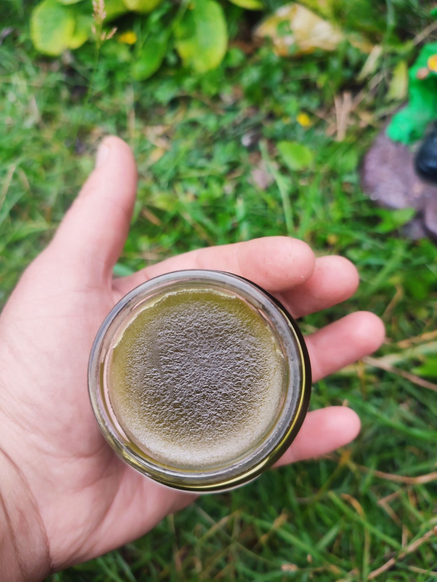 Crema naturala pentru varice