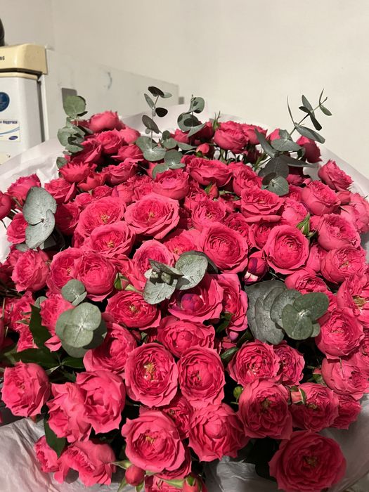 Цветы спрей вчера брали за 25 тыс