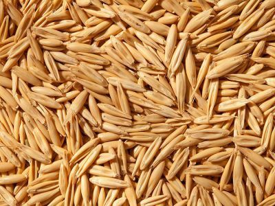 Продам комбикорм зерно овёс пшеница отруби кукуруза зерно отходы