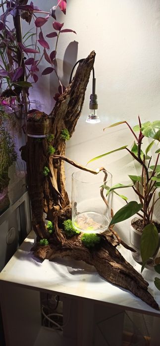 Aranjament decor design natural