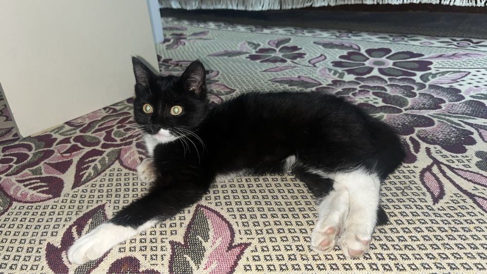 Жаксы карайтын адамга берем